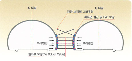 확장형