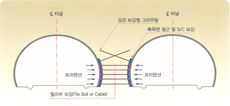 확장형